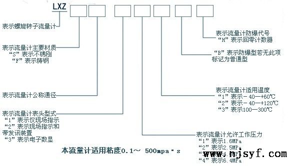 双转子流量计概述1